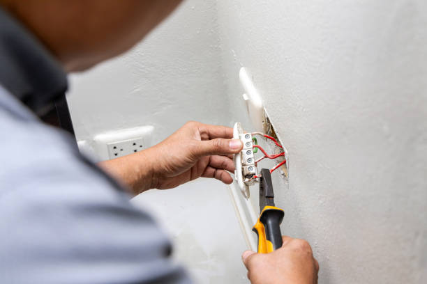 Best Electric Panel Repair  in Beaverton, MI