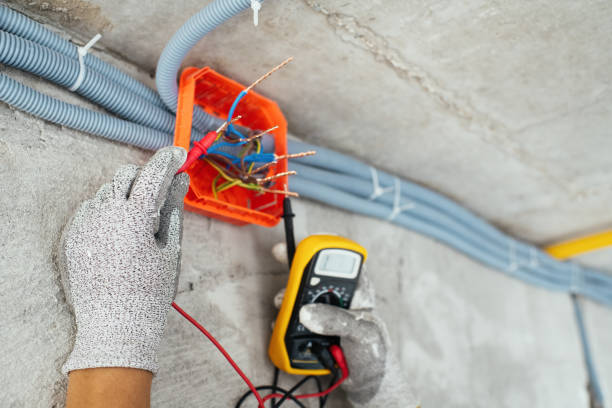 Best Electrical Repair Services  in Beaverton, MI